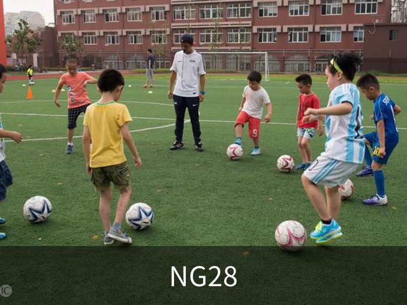 关于NG28